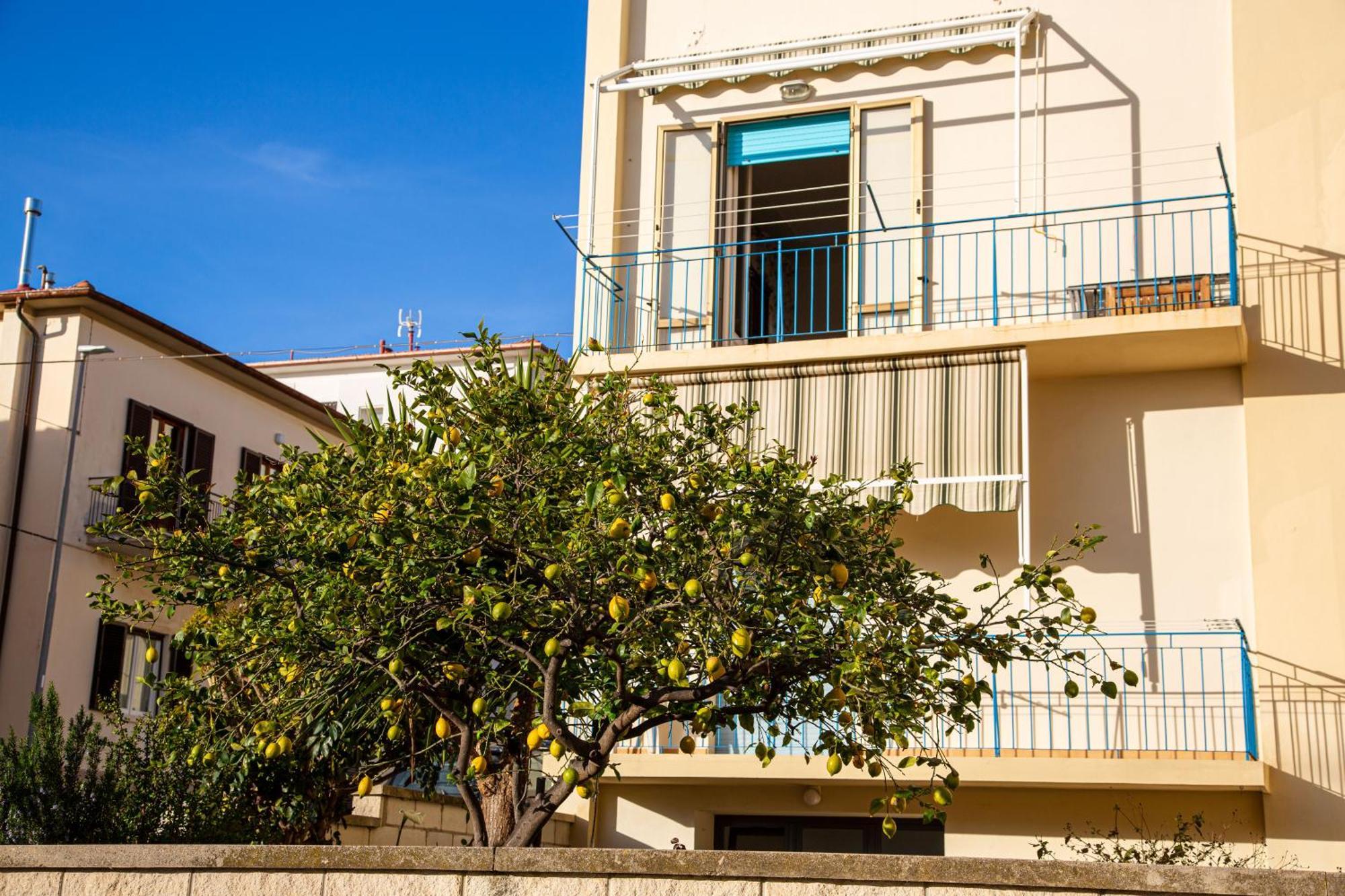Appartamento Il Limone Zona Centrale Vista Mare サン·ヴィンチェンツォ エクステリア 写真